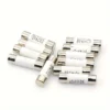 10pcs Ceramic Fuses
